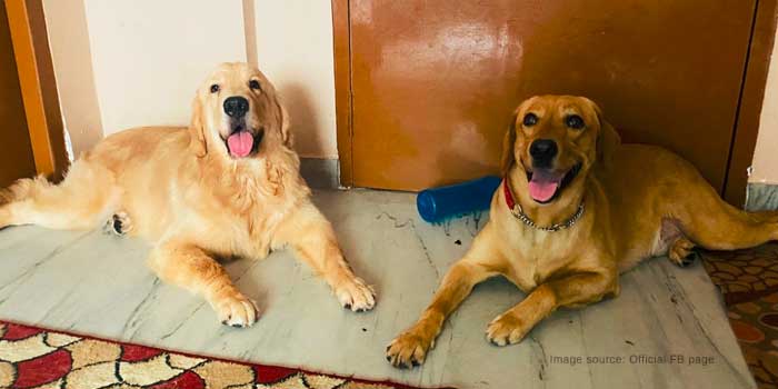 Kolkata Dog Lovers